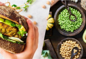 Thriving on plant-based protein: solutions for a sustainable future